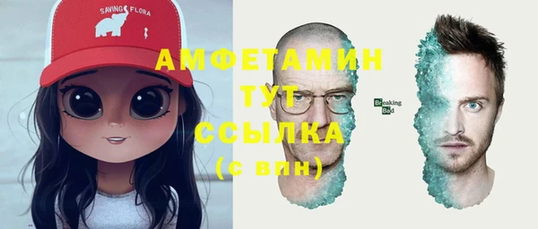 ПСИЛОЦИБИНОВЫЕ ГРИБЫ Бородино