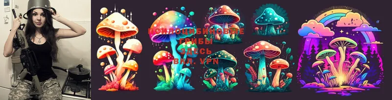 купить   Данилов  Галлюциногенные грибы Cubensis 